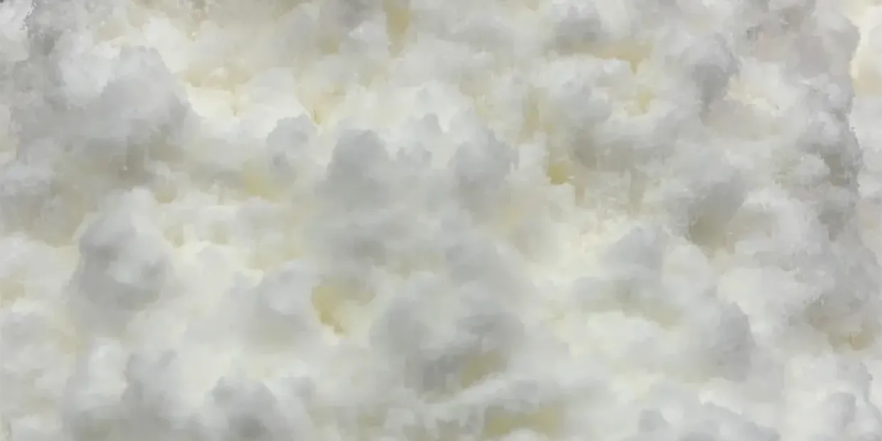 cellulouse fiber / fibers